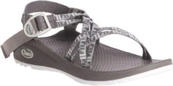 Chaco Women's Z/Cloud X -Englin's fine footwear chaco womens z cloud x echo paloma j106608 54061.1647288280