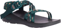 Chaco Women's Z/Cloud X -Englin's fine footwear chaco womens z cloud x warren pine jch107986 41418.1647288280