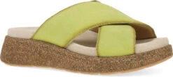 Dansko Bridget -Englin's fine footwear dansko womens bridget lime burnished suede 7012460300 40295.1742826797