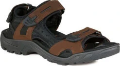 ECCO Men's Yucatan Sandal