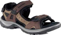 ECCO Women's Yucatan Sandal 13 ECCO Women's Yucatan Sandal -Englin's fine footwear ecco womens yucatan bison 06956352524 04739.1687214227