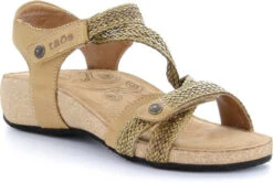 Taos Trulie -Englin's fine footwear taos women trulie camel tru 16406 cml 79327.1682088053