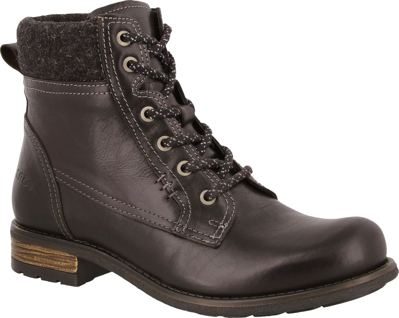 Taos Cutie 1 Taos Cutie