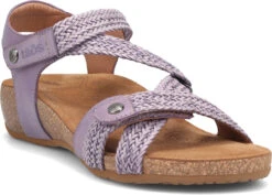 Taos Trulie -Englin's fine footwear taos womens trulie lavender tru 16406 lav 38548.1682088054