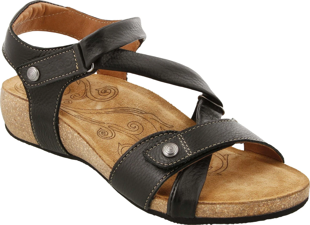 Taos Universe 2 Taos Universe - Image 2